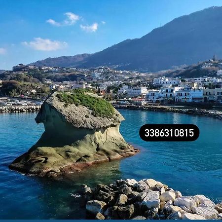 Appartamento Zaras 11 Lacco Ameno  Esterno foto
